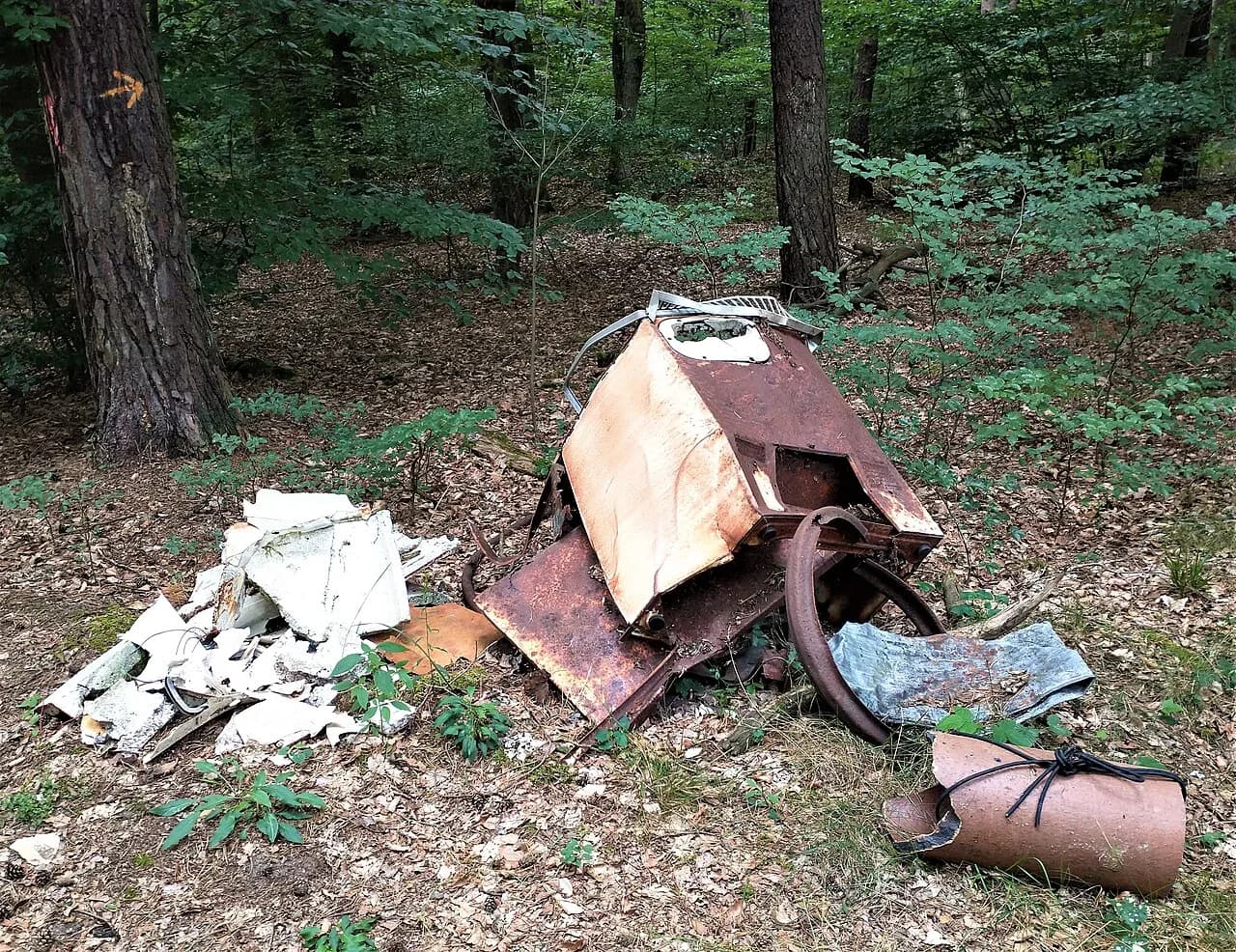 Garbage in a German forest (Furstenwalde).jpg