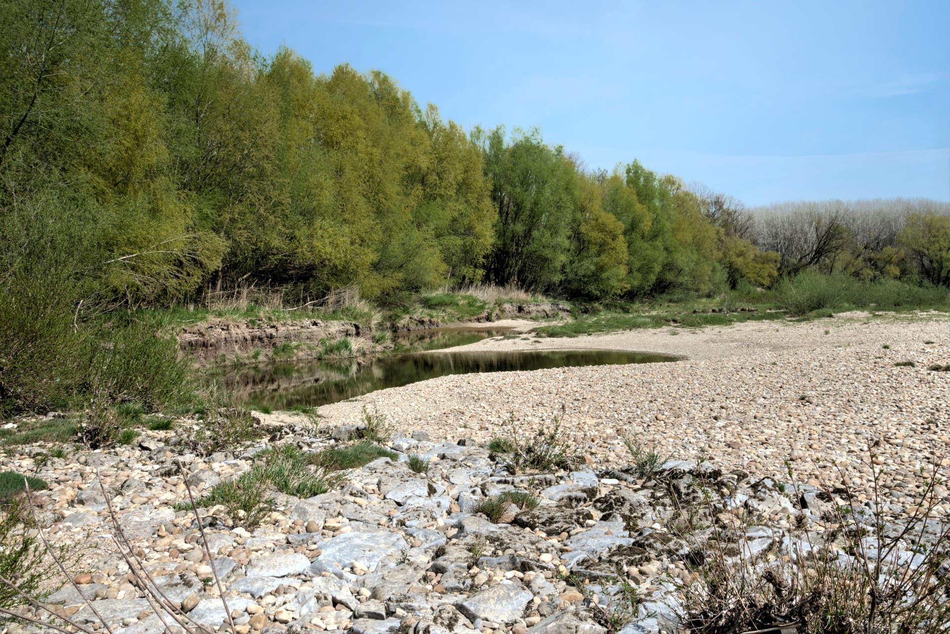 Danube near Stopfenreuth 10.jpg