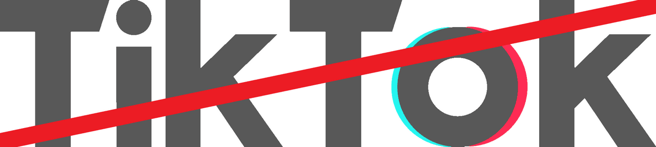 NO TikTok.png