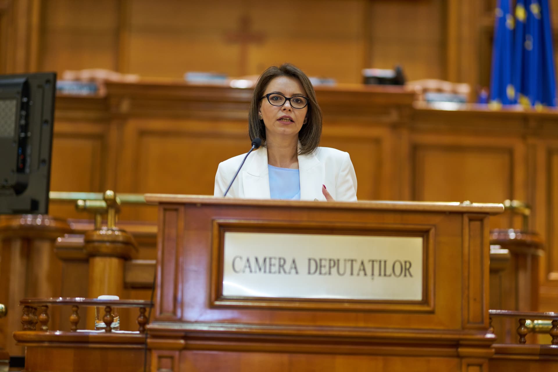 Oana Cambera in plenul Camerei Deputatilor.jpg