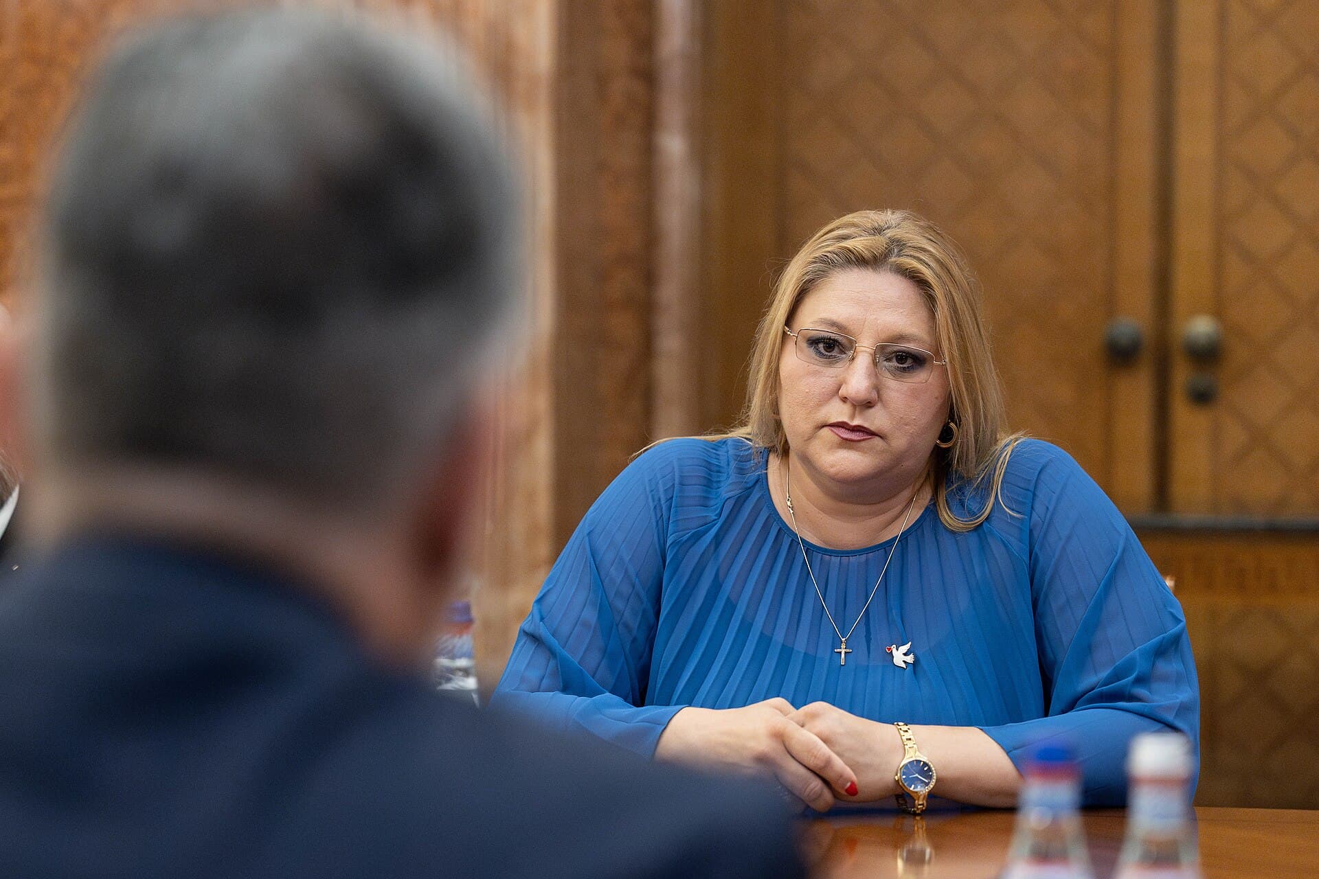 Diana Șoșoacă (1 July 2024).jpg