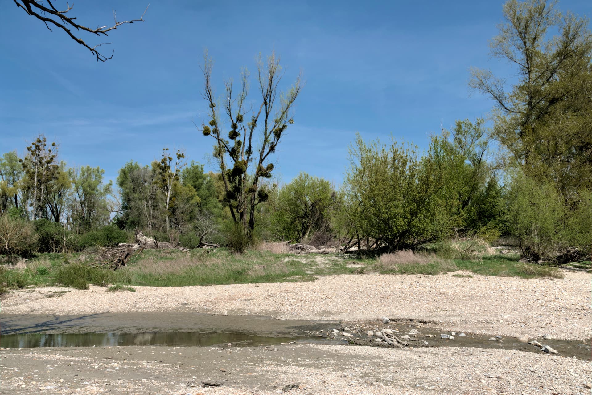 Danube near Stopfenreuth 14.jpg