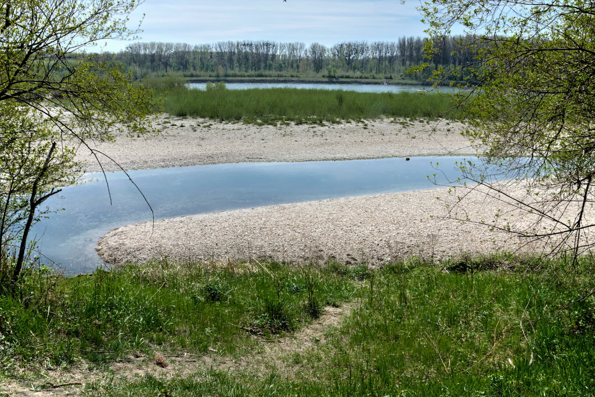 Danube near Stopfenreuth 07.jpg