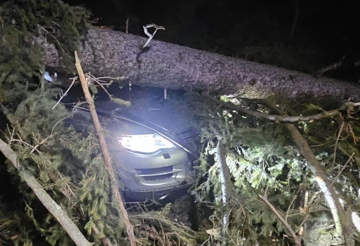 Un copac căzut peste liniile electrice a oprit telecabinele din Sinaia